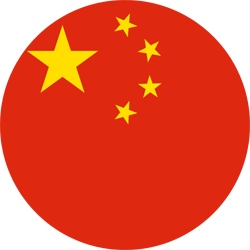 中文 (简体)